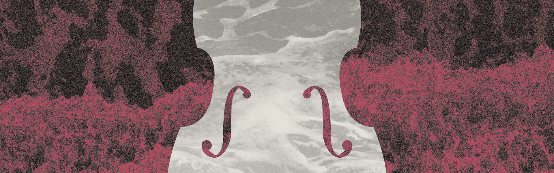 Bach and Harpsichord: Andreas Staier