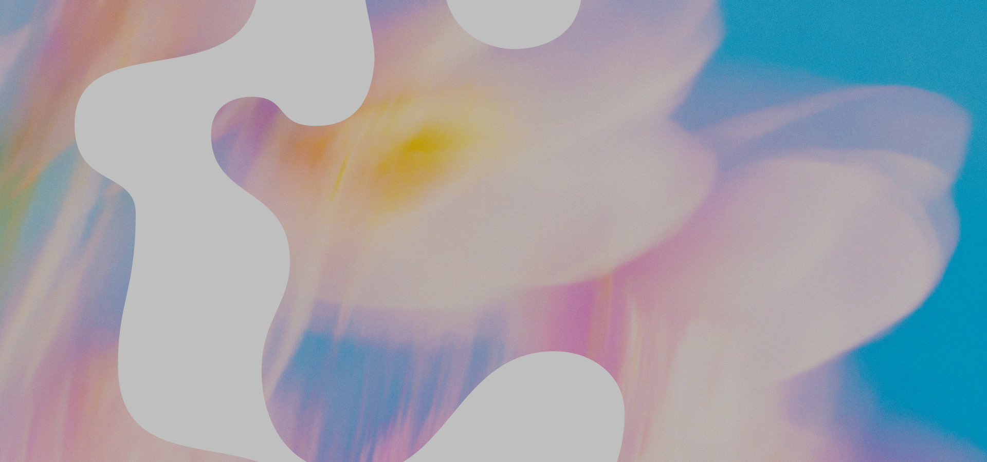 Podiumsgespräch: Jede Stimme zählt – Das "Prinzip Kammermusik" als demokratisches Erlebnis